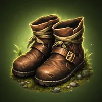Common boots